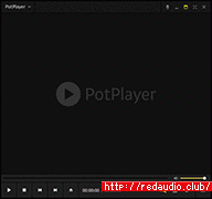 PotPlayer v210428 [WiN]