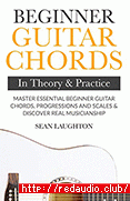 Beginner Guitar Chords In Theory And Practice: Master Essential Beginner Guitar Chords, Progressions And Scales