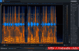 iZotope RX Pro for Music v9.1.0 [WiN]