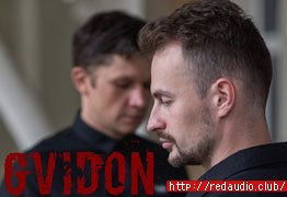 AudioJungle&Motionarray GvidonAudio Gvidon [WAV]