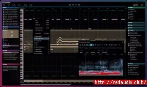 Hit n Mix RipX DAW PRO v7.0.0 [WiN]